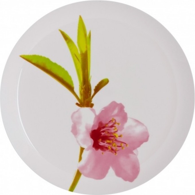 Тарелка обеденная LUMINARC УОТЕР КОЛОР 25 см J4652